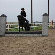 Anden særlig race Nydams Marie