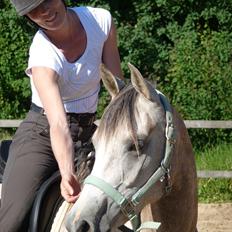 Arabisk fuldblod (OX) Aki-Bells Akira