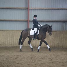 Holstener I Love You II