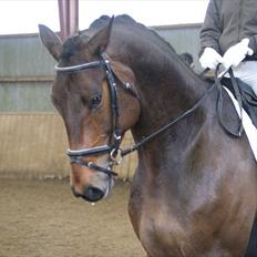 Holstener I Love You II