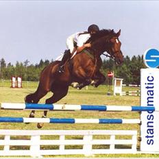 Holstener Caleth Igenmoes