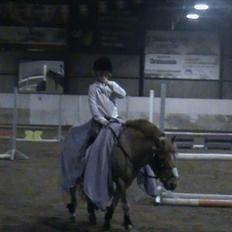 Anden særlig race Christian. [Tidl Hest] Savner ham:'( <3 :')