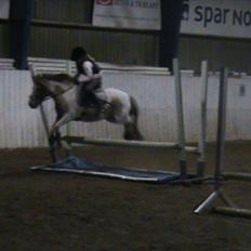 Anden særlig race Christian. [Tidl Hest] Savner ham:'( <3 :')