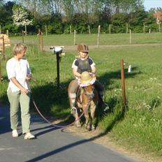 Shetlænder Ludvig. <3 Sov Sødt Min Guldklump <3