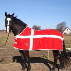 Oldenborg FELIX AF NÆSBY STRAND