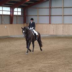 Oldenborg FELIX AF NÆSBY STRAND