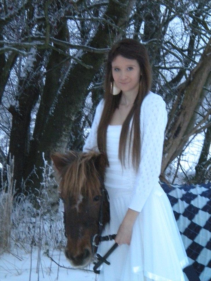 Shetlænder Lilo - Et billede til et skole projekt om konfirmation i 2009(-; billede 13