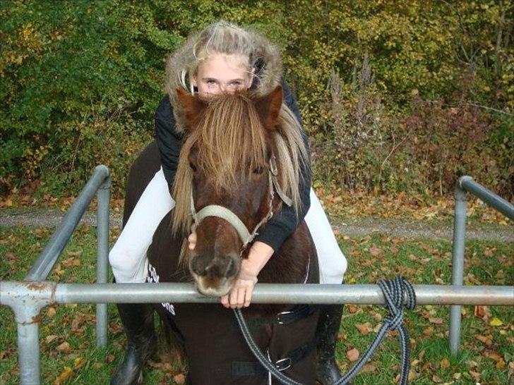 Shetlænder Lilo - Så mange år og minder med dig, jeg håber helt sikkert på flere! billede 14