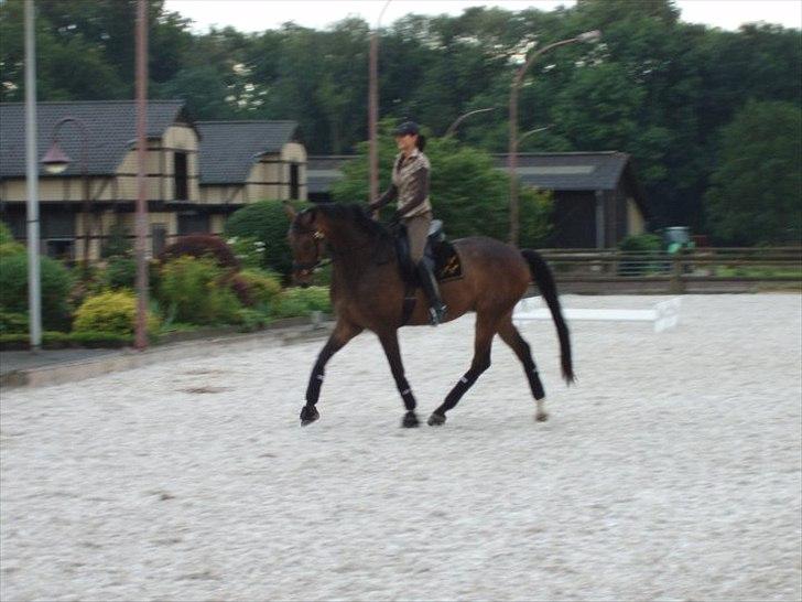 Anden særlig race Tornado<´3 (SOLGT) :´( billede 13