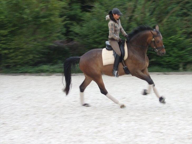 Anden særlig race Tornado<´3 (SOLGT) :´( billede 14