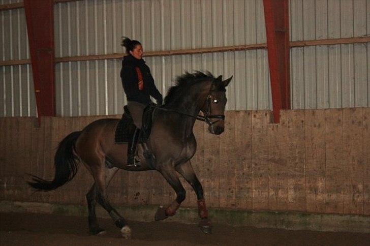 Anden særlig race Tornado<´3 (SOLGT) :´( billede 16