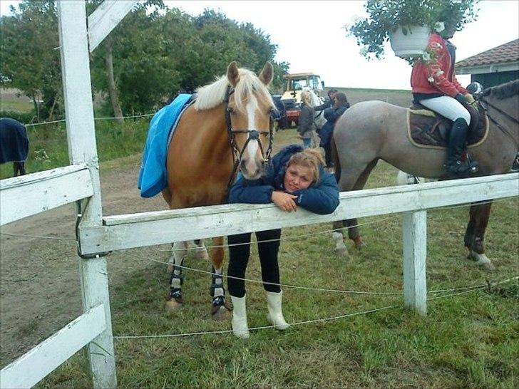 Tysk Sportspony Honeymoon - 11# Honsen i Silkeborg 2009 billede 8