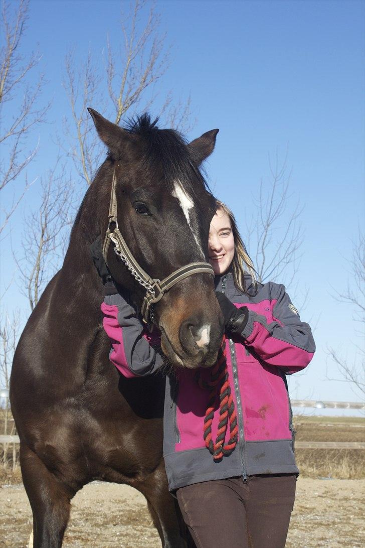 Welsh Cob (sec D) Tecno  - Y* you go through life youll see There is so much that we Dont understand And the only thing we know Is things dont always go The way we planned i will stand by your side Filled with hope and filled with pride We are more than we are We are one!     billede 18