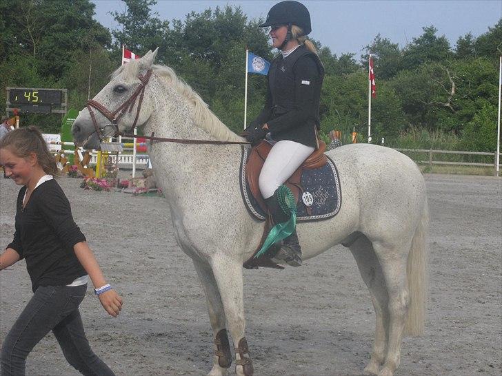 Anden særlig race BOBBY - Landsstævne Capacity MA* 6.plads billede 2