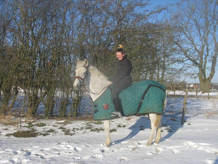 Anden særlig race BOBBY - Januar 2011 billede 12