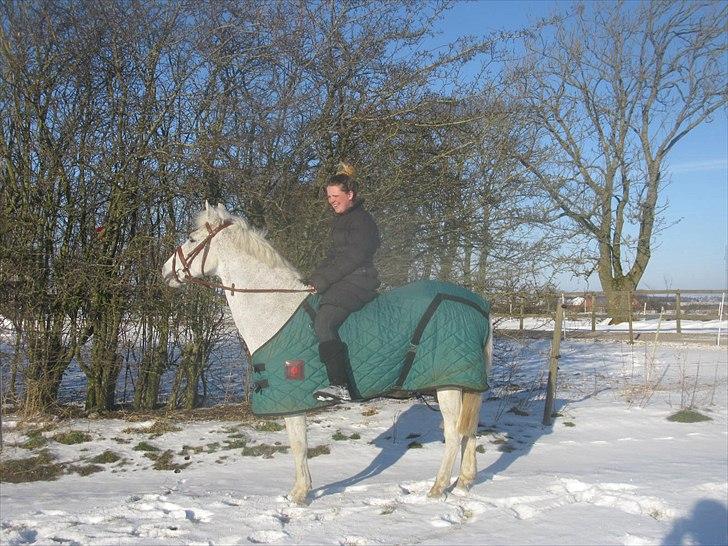 Anden særlig race BOBBY - 2011 billede 13