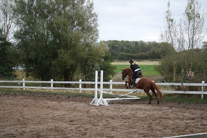 Anden særlig race Florina - Julie og Florina:)
- Taget af hende den frække Sibbo :D <3 billede 11