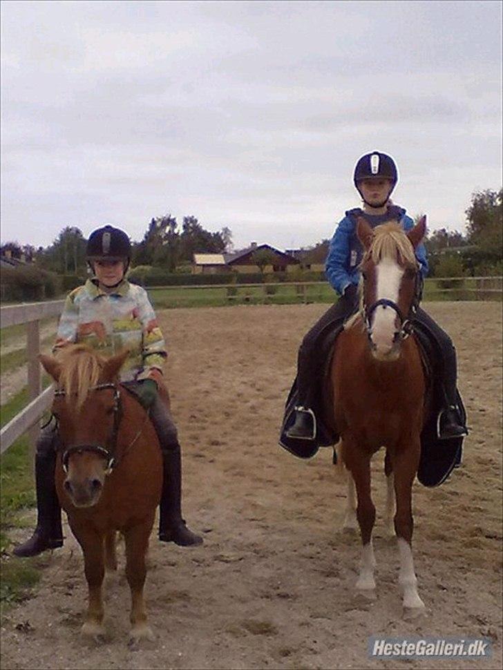 Anden særlig race |Pippi*Aflivet*| - mig og freja på banen med beauty og pippi |foto:Emma J| billede 17