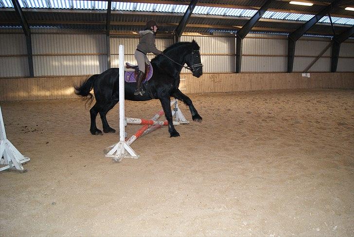Frieser Gerko SOLGT - springspring!! billede 8