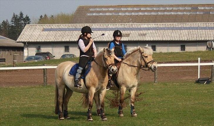 Fjordhest GRRK's Josefine [Tidl. Part]:'(<3 - Mig, der er ved at sige banen til min bedste veninde Mie<3 Foto//: Sahra Henriksen billede 4