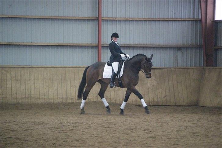 Holstener I Love You II billede 2