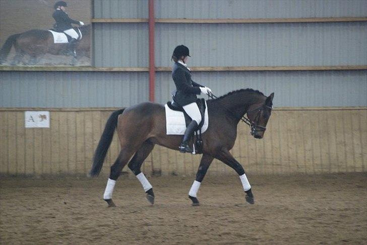 Holstener I Love You II - Alf og jeg, ved godt haner lidt dyb dér. billede 4