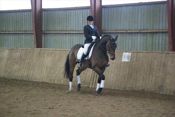 Holstener I Love You II billede 5