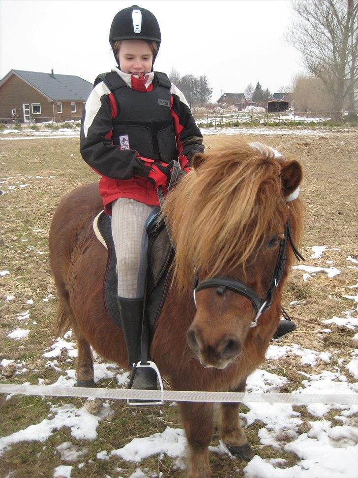 Anden særlig race BASSE #PART# - Basse og Signe. billede 6