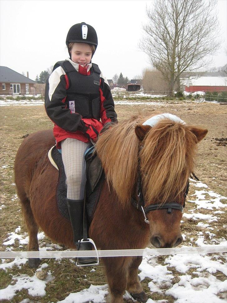 Anden særlig race BASSE #PART# - Basse og signe. billede 7