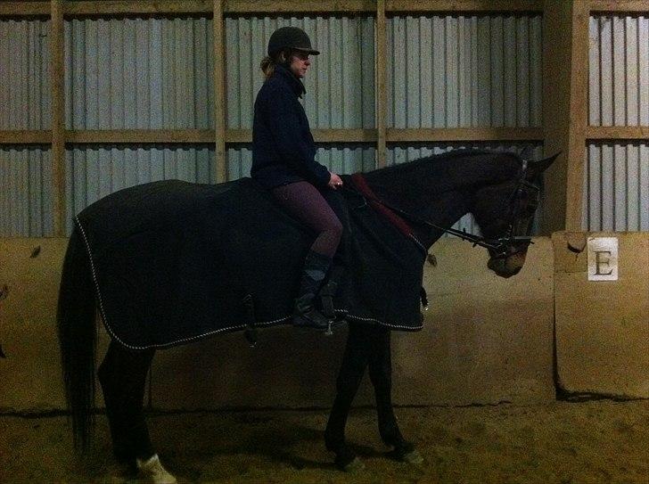 Dansk Varmblod BOJANA - En af de første gange jeg rider på Bojana :-) Marts 2011 billede 13