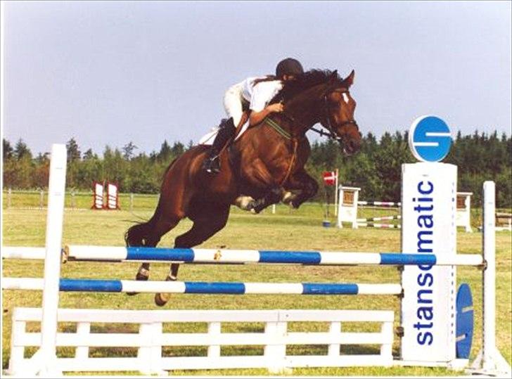 Holstener Caleth Igenmoes - Til stævne på en sommerdag i billund billede 2