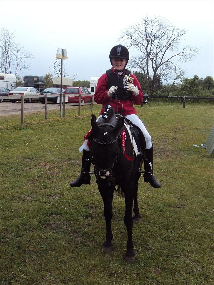 Anden særlig race zikka - Kan man ønske sig mere end en super pony og rosetter billede 10