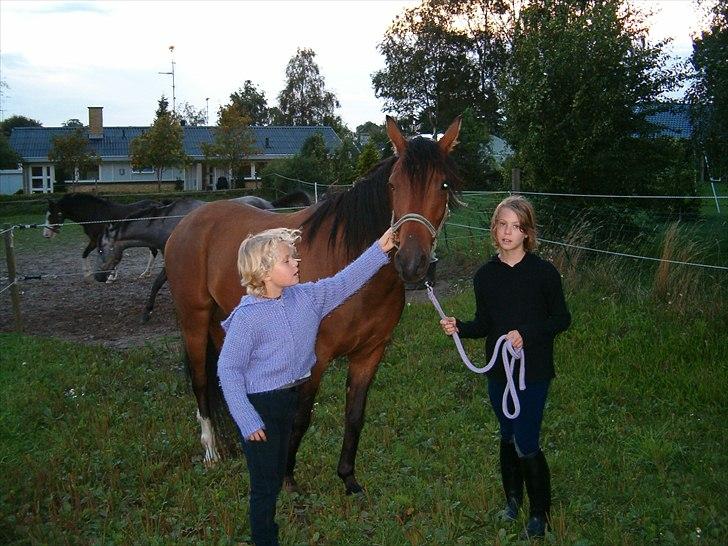 Anden særlig race sebastian billede 16