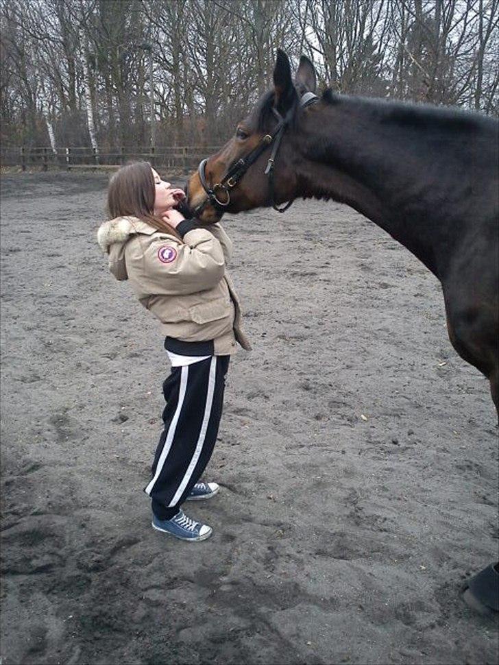 Anden særlig race Liva the Diva *R.I.P.* - Kyssekysse billede 4