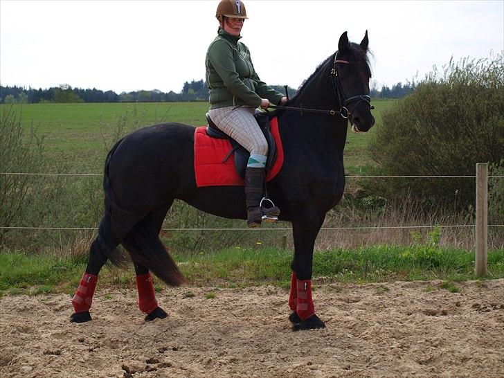 Frieser Baukje Van De Martini solgt billede 7