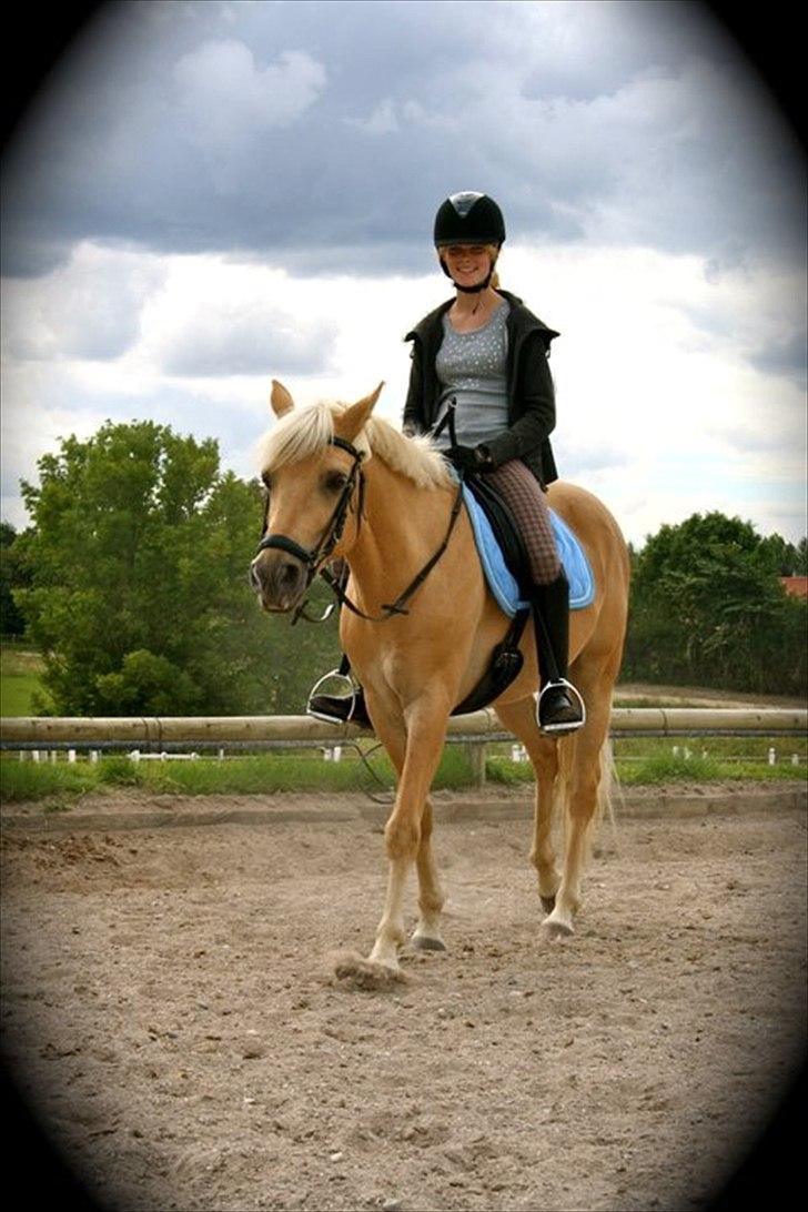 Anden særlig race Golden Dream:* (SOLGT):'( billede 17