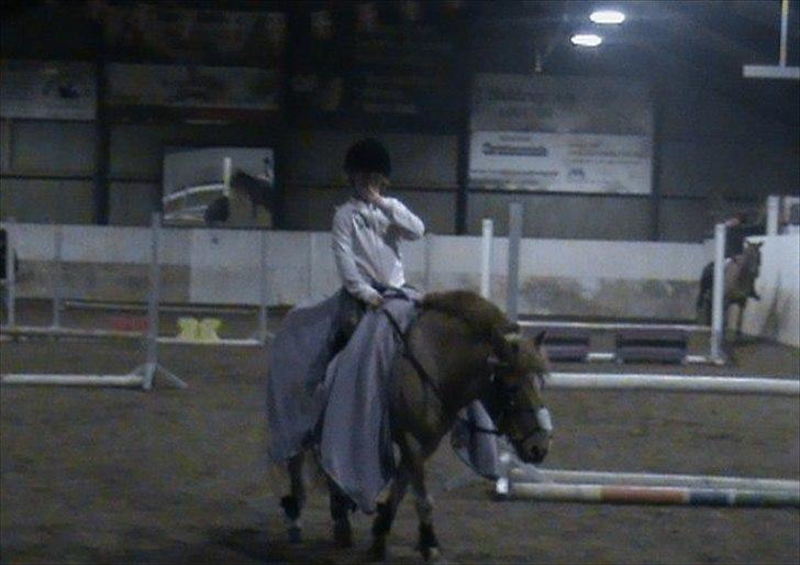 Anden særlig race Christian. [Tidl Hest] Savner ham:'( <3 :') - Skridter af, efter en super ride tur!!.. :") billede 2