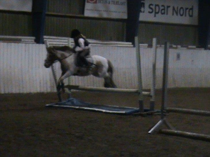 Anden særlig race Christian. [Tidl Hest] Savner ham:'( <3 :') - Vi  springer vandgrav, sprædt heelt ud!!.. :D billede 3