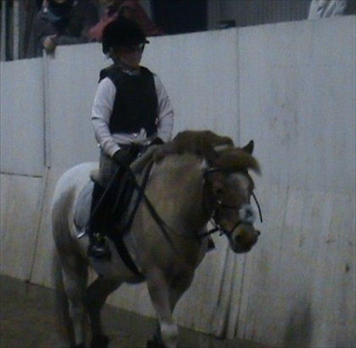 Anden særlig race Christian. [Tidl Hest] Savner ham:'( <3 :') - Springundervisning, ved Torben!.:P billede 4