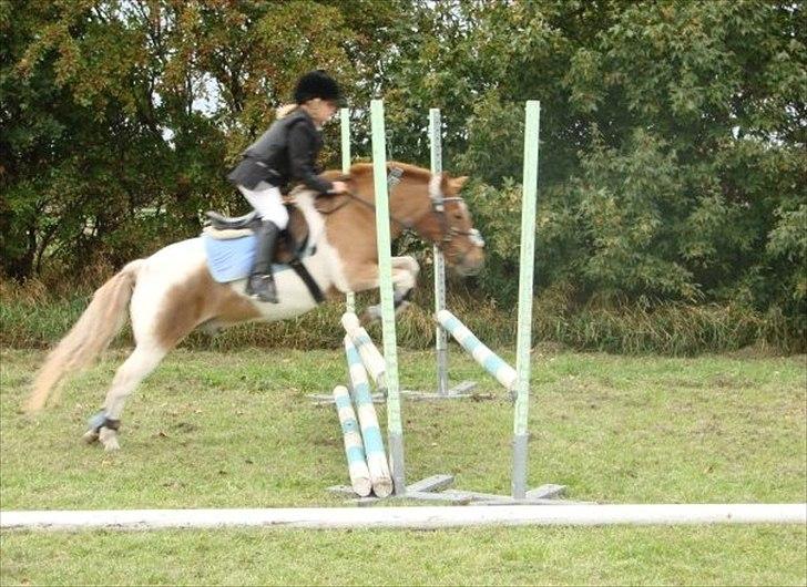 Anden særlig race Christian. [Tidl Hest] Savner ham:'( <3 :') - "Klupmester skab"!..:) 5.plads!!.. :) billede 5