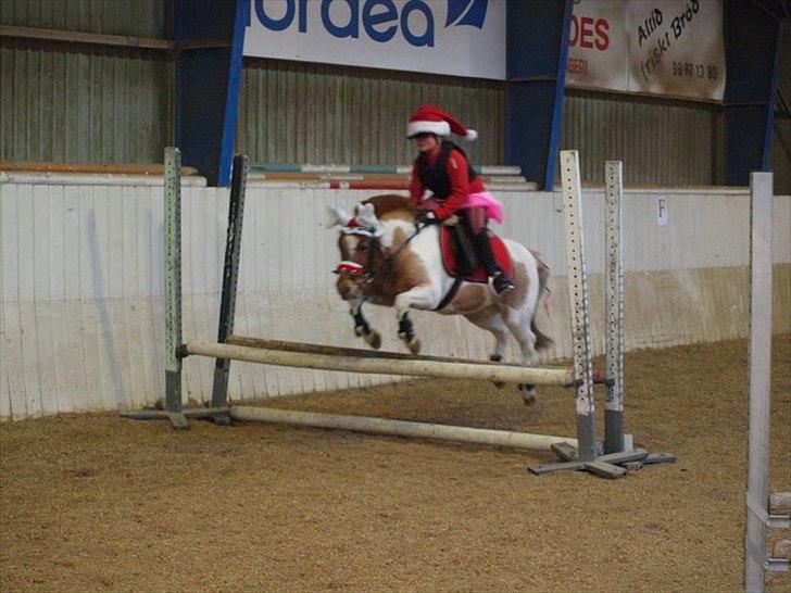 Anden særlig race Christian. [Tidl Hest] Savner ham:'( <3 :') - "Julestævne" 2011. :) billede 6