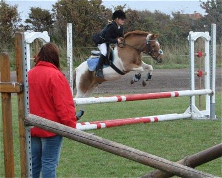 Anden særlig race Christian. [Tidl Hest] Savner ham:'( <3 :') - "Klupmester skab"!..:) 5.plads!!.. :) billede 9