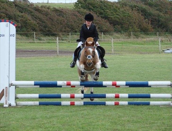 Anden særlig race Christian. [Tidl Hest] Savner ham:'( <3 :') - "Klupmester skab"!..:) 5.plads!!.. :) billede 10