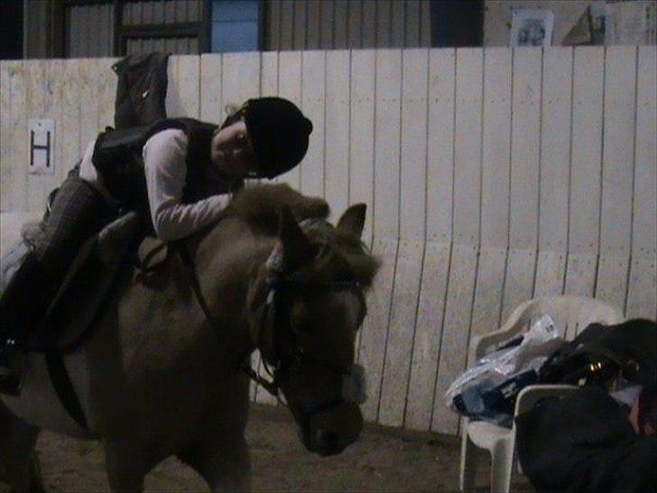 Anden særlig race Christian. [Tidl Hest] Savner ham:'( <3 :') - Springundervisning, ved Torben!.:P billede 11