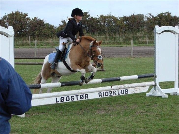 Anden særlig race Christian. [Tidl Hest] Savner ham:'( <3 :') - "Klupmester skab". Hjemmebane!.. :). Vi fik hvis en 5. plads. Men vi startede os mod alle 1,erponyer og 2,erponyer og alle, så det er rimlig godt gået!.. :D billede 12