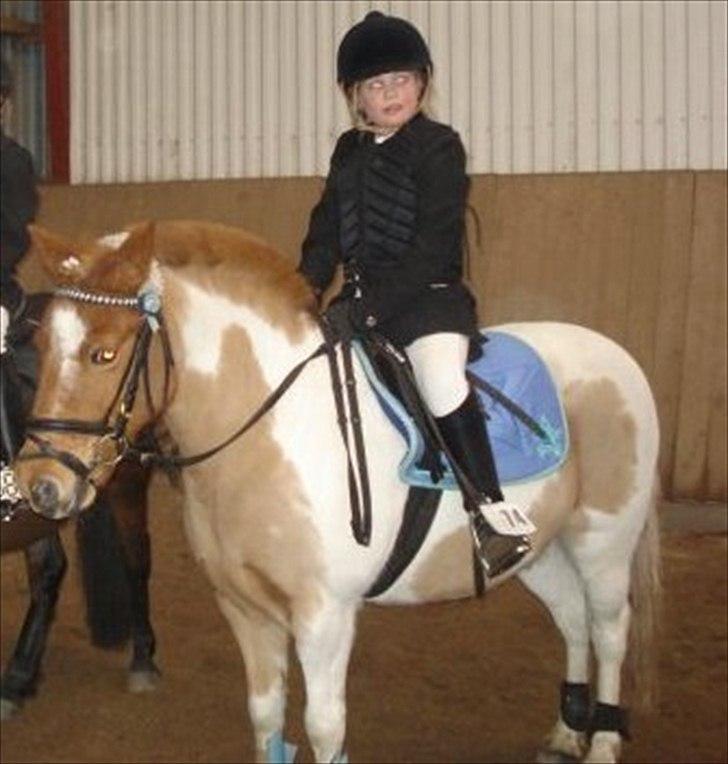 Anden særlig race Christian. [Tidl Hest] Savner ham:'( <3 :') - Efter en super god ride tur, skulle der lige tages billeder af os!.. :P billede 13