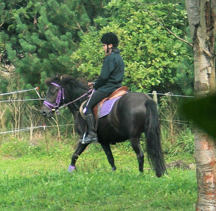 Anden særlig race Quite Beauty* solgt* billede 9