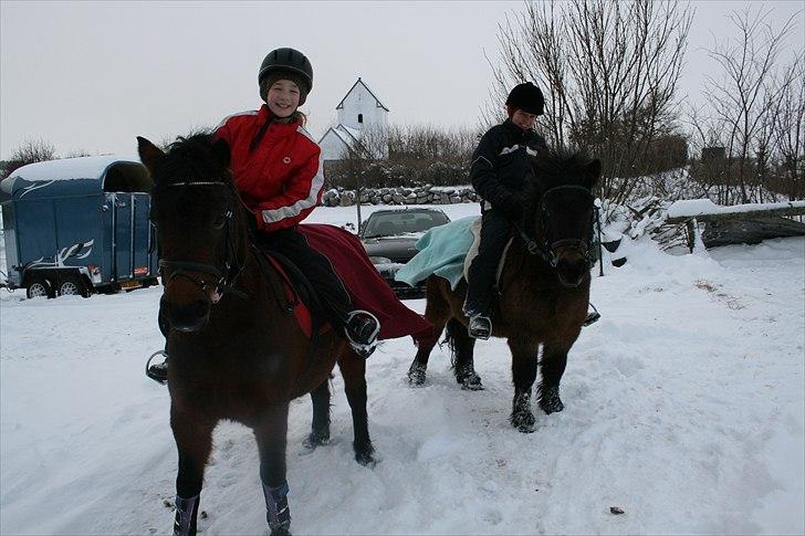 Anden særlig race Rollo fra thy..  .solgt - liv 8 på musen og sofie 12 rider Rollo i sneen 2010 billede 7