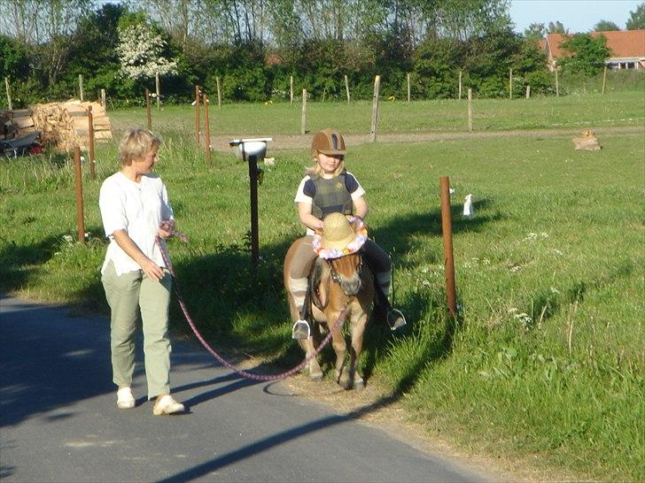 Shetlænder Ludvig. <3 Sov Sødt Min Guldklump <3 - Det første år med Ludvig <3 Mig og Ludvig på tur <3  billede 3