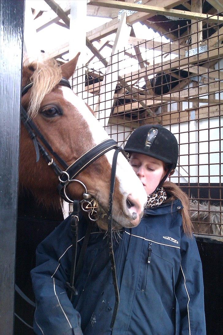 Anden særlig race King billede 3